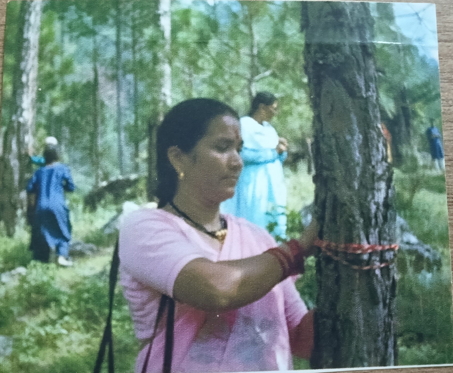 Young volunteers planting saplings on a Himalayan hillside